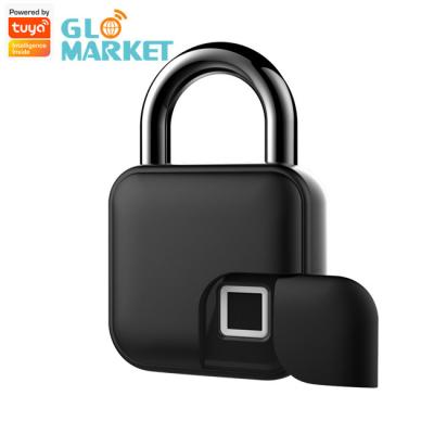 China Zinc Alloy Tuya Smart Padlock USB Charging Fingerprint Padlock For Bag Door Cabinet for sale