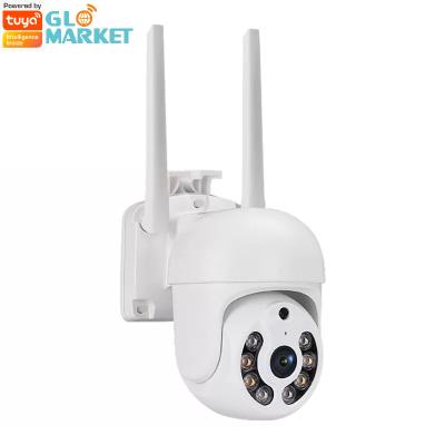 China Smart Tuya Wifi Camera 1080P Waterproof Night Vision PIR Detection Full HD Security Camera for sale