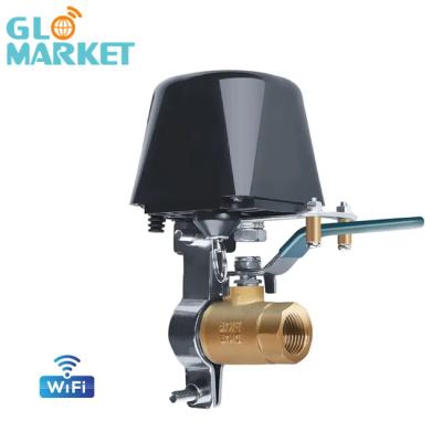 Китай Муфты кольца тяги Glomarket работа системы клапана воды регулятора Wifi модулирующей лампы умной Tuya ручная с Alexa Google продается