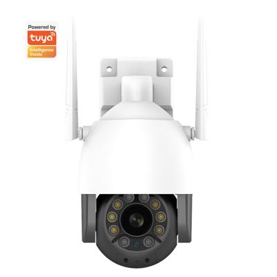 China Wi-Fi al aire libre de Whalecam 1080P de la cámara de seguridad del Smart Home con la cacerola/la cámara inclinable de Wifi de la detección de movimiento en venta