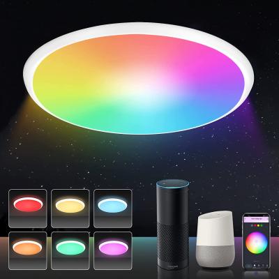 China 24w Tuya Smart Ceiling Light Colorful Rgb Remote Control Led Modern Music for sale