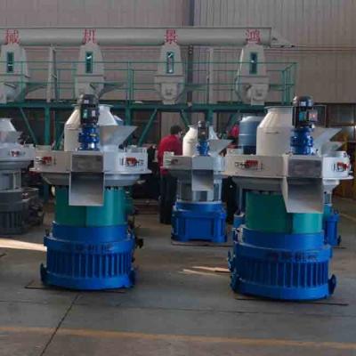 Chine Machine à pellets de bois industriel à base de biomasse 380V 50Hz 0,8-1,2Mpa à vendre