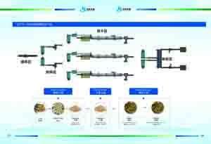Chine Machine à pellets de bois à base de biomasse de 6 mm 8 mm Automatique 5-20 mm Longueur Lubrification manuelle à vendre
