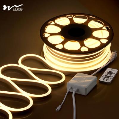China 120LEDs Neon Rope Lights Dimmable 110V 220V Cuttable Remote Control Strip Light for sale