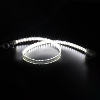 China Mejor vendedor IP68 impermeable LED iluminación de la piscina 12v Luz de cinta Flexible sin puntos Dob Silicio Luz LED Cob L en venta