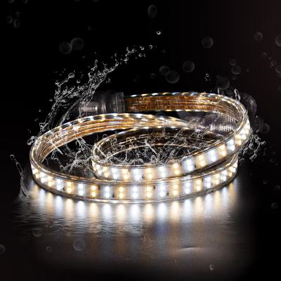 China IP68 6500K Led Rope Light White And Warm White Led Strip Lights For Ceiling for sale