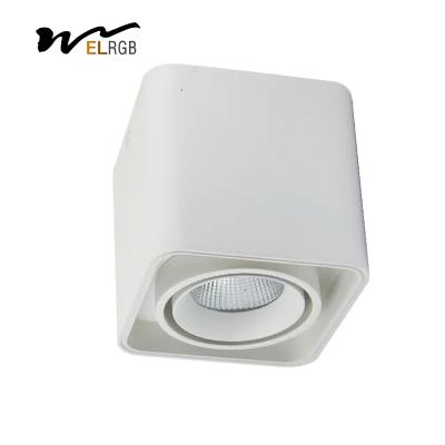 China 25w 30w Square LED Spotlight Indoor Work Light Trimless COB Surface Mounted for sale