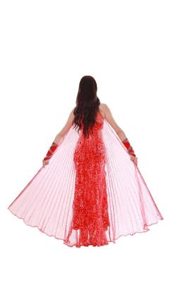 Китай Танцулька ювелирных изделий голубая/красная печатания цветка живота подгоняет, цветастые костюмы танцора живота продается