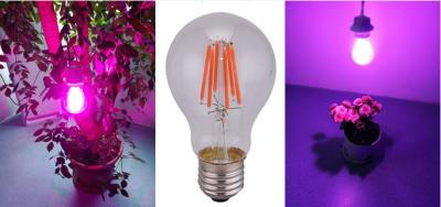 China A60 Pink White LED Plant Grow Lights 660nm 8w Filament LED Bulb for sale