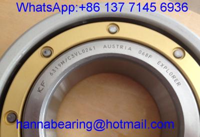 China Insocoat Bearing 6319M/C3VL0241 Outer Ring Coated Precision Ball Bearing for sale