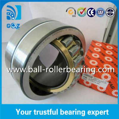 China FAG Z-534176.PRL Double Row Spherical Roller Automobile Ball Bearings For Caravan / Bicycle Wheel for sale