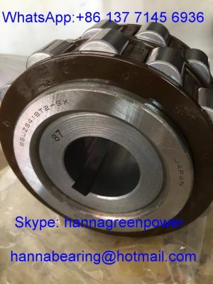 China 65UZS418T2X-SX-87 Cylindrical Roller Bearing with Bushing 65UZS418 Nylon Cage Eccentric Bearing for sale