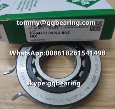 China Nylon Cage Cylindrical Roller Bearing VW AG INA F-604757.04.NU - BNS - HLC With Snap Ring for sale