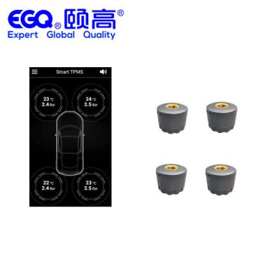 China Passenger Car Tire Pressure Monitoring System for sale