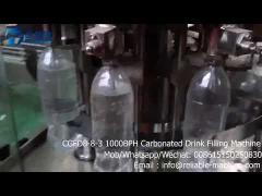 800-1500BPH CGFD 883 carbonated water filling machine