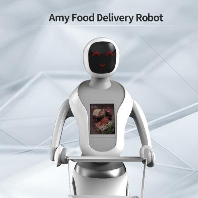 China Intelligent Avoidance Robot Delivery Food DC24V 5A Remotely Controlled Robot Sushi for sale