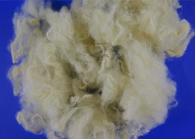 Chine Fibre de polyester conjuguée par cavité réutilisée de Siliconized pour le bourrage d'oreiller à vendre