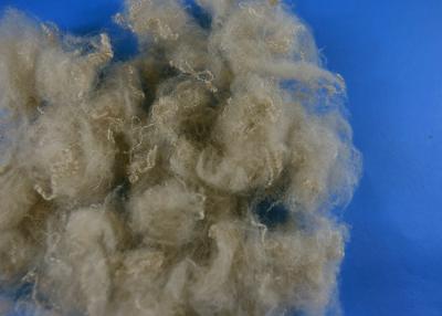 China Hollow Conjugated Siliconized Fiber , Polyester Fiberfill For Padding Or Non Woven for sale