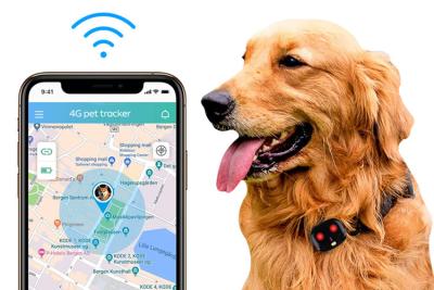 China 4G Waterproof Gps Tracker For Dogs for sale