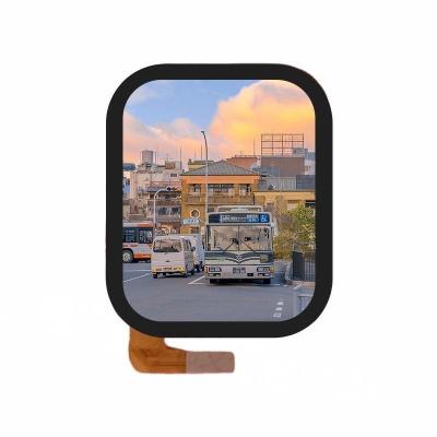 China 1.952 Inch AMOLED Display Module AMOLED OLED Display  410*502 Dots 24 Pin CO5300AF-46 for sale
