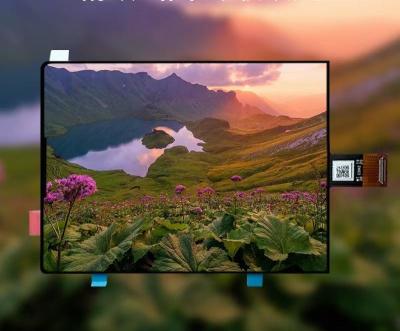 China Extreme Thinness and Ultra - Clear Vision：3.92 - inch AMOLED Ultra - thin Display with 1080*1240  Resolution Lights Up a Remarkable Visual Experience for sale