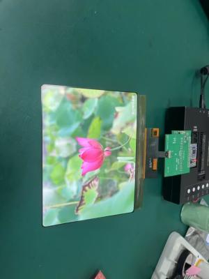 China 8 Inch Amoled Display Module 1860×2480 MIPI Interface Driving IC RM69380 430C/D for sale