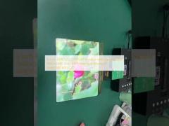 8 Inch Amoled Display Module 1860×2480 MIPI Interface Driving IC RM69380 430C/D