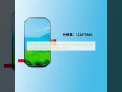 5.46 Inch AMOLED Display Module 1920*3664 Resolution MIPI  Interface Driving IC R63455 130C/D