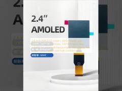 2.4 Inch AMOLED Display Panel 60Hz Refresh Rate 800cd/M² High Brightness 540*600