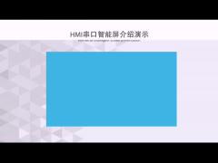 10.1 Inch Tft Touch Screen 1024x600 Hdmi Tft Display 300c/D Brightness