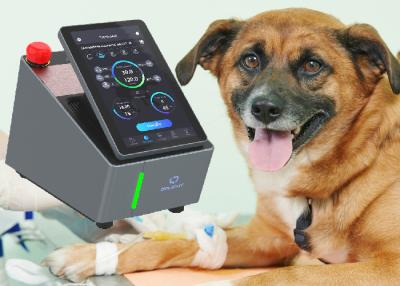 China 10min Veterinary Laser Therapy Machine 915nm Equine Laser Therapy Equipment for sale