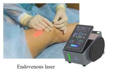 China do diodo macio do tecido de 1064nm 30W tratamento vascular da lesão do laser à venda