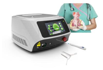 China Dual wavelength 980nm 1470nm Anal Fistula hemorrhoid  Proctology Laser Machine for sale