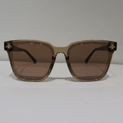 China Classic Brown Anti Glare Sunglasses Translucent Anti Reflective Coating for sale