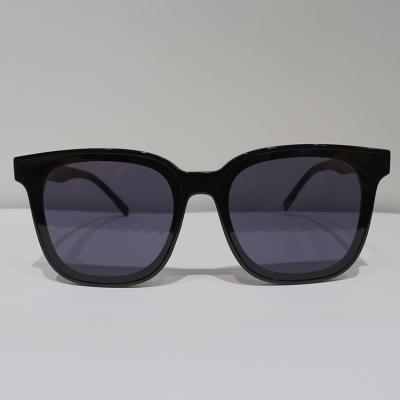 China Inclusive Anti Reflective Sunglasses Purple Polarized Black Acetate for sale