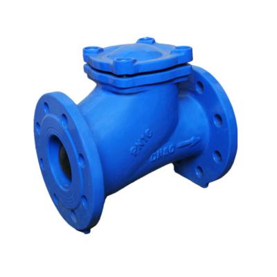 China 316 Ss Check Valve Stainless Steel Ball Check Valve Back Pressure Retention Swing Type for sale