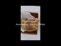 Fisher 1301F Brass Body Material High Pressure Gas Regulator