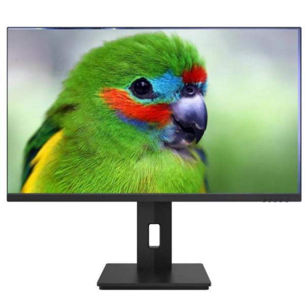 Quality 24 Inch Graphics Computer Monitor 1920x1080 PC Gaming Monitor 165hz With HAS for sale
