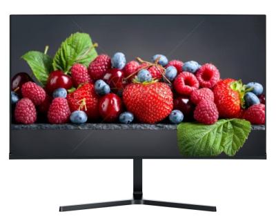 Cina 25inch BOE IPS Monitor 360Hz Refresh Rate With USB Type-C 85% NTSC 105%SRGB Color Gamut 12V Adapter in vendita