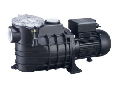 China Swimming Pool Pumps FCP Series for sale