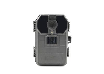 Chine Cerfs communs multifonctionnels chassant la caméra infrarouge de chasse de vision nocturne de caméra à vendre