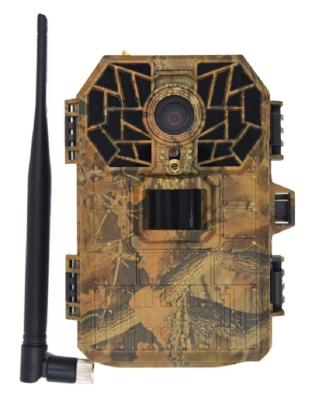 China Smart Wireless Outdoor Wildlife Video Camera Wireless Internet Deer Camera for sale