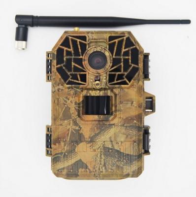 China 4G Wireless Outdoor Wildlife Video Camera 16Mp Mini Hunting Camera for sale
