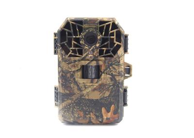 China Wild Game Deer Scouting Cameras Mini Wireless Tree Cameras For Hunting for sale