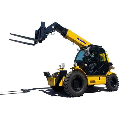 China Thermal Insulation Tele Handler Forklift Different Sizes Operate Safely for sale