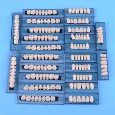 China Advanced Type Dental Artificial Denture Acrylic Resin Teeth Set for sale