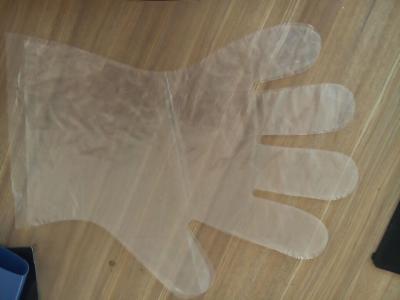 China HDPE Clear Plastic Disposable Gloves Food Safe Waterproof With Smooth Surface for sale