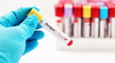 China CE Approved Dengue Ns1 Antigen Test Kit Antibody Rapid Test Cassette for sale