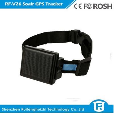 China 2016 newest popular product solar gps tracker solar powered cow gps tracker rf-v26 for sale