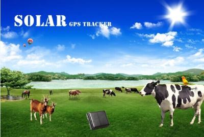 China Solar GPS tracker for animal/anti-remove alarm & sos alarm with google map SMS alert for sale